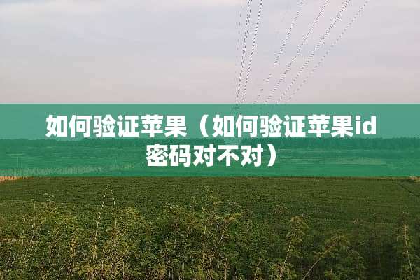 如何验证苹果（如何验证苹果id密码对不对）