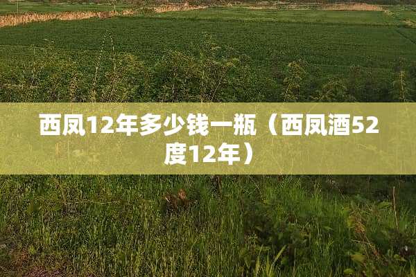 西凤12年多少钱一瓶（西凤酒52度12年）