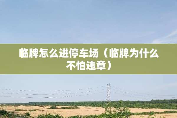 临牌怎么进停车场（临牌为什么不怕违章）