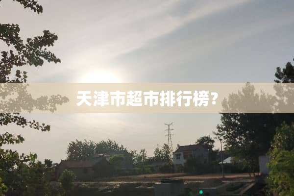 天津市超市排行榜？