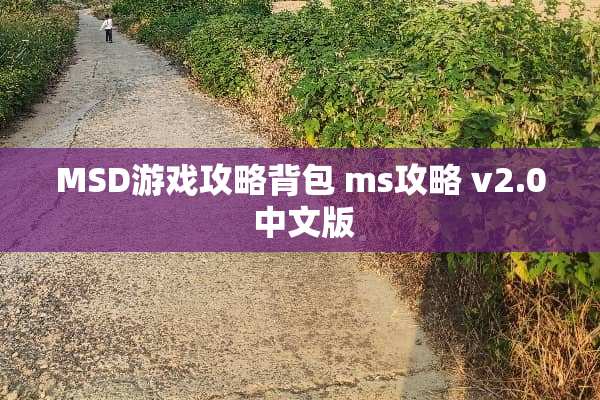 MSD游戏攻略背包 ms攻略 v2.0 中文版 MSD游戏攻略背包 ms攻略 v2.0 中文版