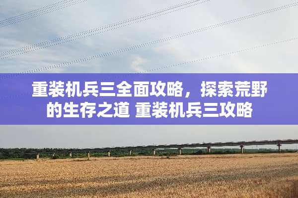 重装机兵三全面攻略，探索荒野的生存之道 重装机兵三攻略