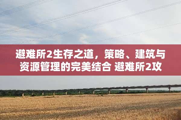 避难所2生存之道，策略、建筑与资源管理的完美结合 避难所2攻略