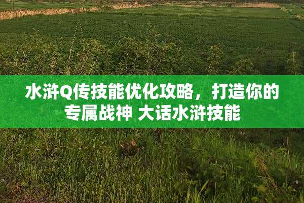水浒Q传技能优化攻略,打造你的专属战神 大话水浒技能 水浒Q传技能优化攻略,打造你的专属战神 大话水浒技能