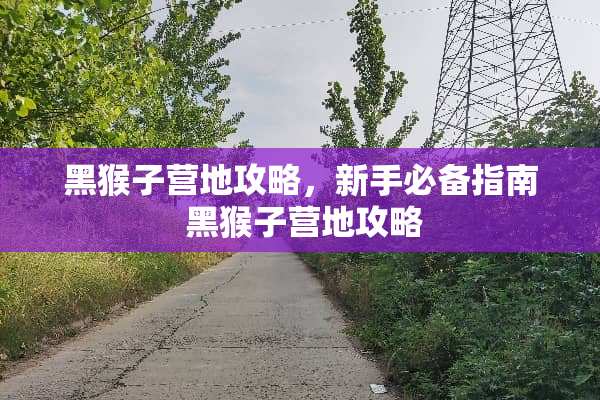 黑猴子营地攻略，新手必备指南 黑猴子营地攻略