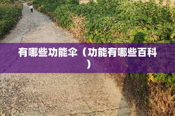 有哪些功能伞(功能有哪些百科) 有哪些功能伞(功能有哪些百科)