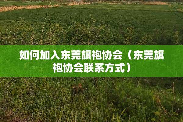 如何加入东莞旗袍协会（东莞旗袍协会联系方式）