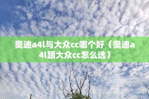 奥迪a4l与大众cc哪个好(奥迪a4l跟大众cc怎么选) 奥迪a4l与大众cc哪个好(奥迪a4l跟大众cc怎么选)