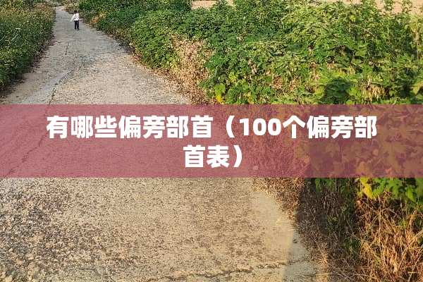 有哪些偏旁部首（100个偏旁部首表）