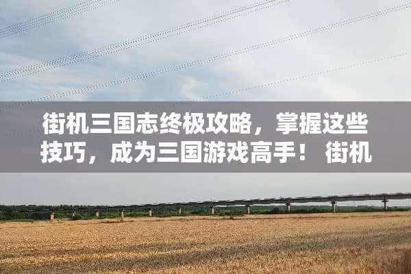 街机三国志终极攻略，掌握这些技巧，成为三国游戏高手！ 街机三国攻略