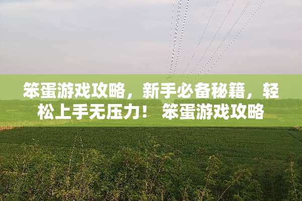 笨蛋游戏攻略,新手必备秘籍,轻松上手无压力! 笨蛋游戏攻略 笨蛋游戏攻略,新手必备秘籍,轻松上手无压力! 笨蛋游戏攻略