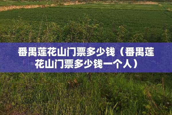 番禺莲花山门票多少钱（番禺莲花山门票多少钱一个人）