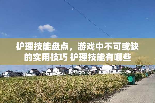 护理技能盘点,游戏中不可或缺的实用技巧 护理技能有哪些 护理技能盘点,游戏中不可或缺的实用技巧 护理技能有哪些