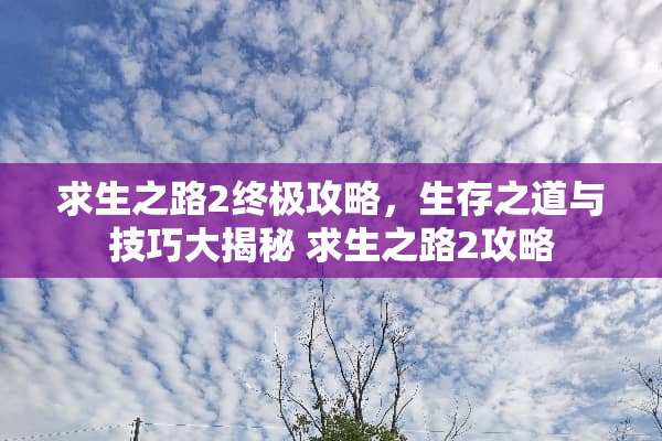 求生之路2终极攻略,生存之道与技巧大揭秘 求生之路2攻略 求生之路2终极攻略,生存之道与技巧大揭秘 求生之路2攻略