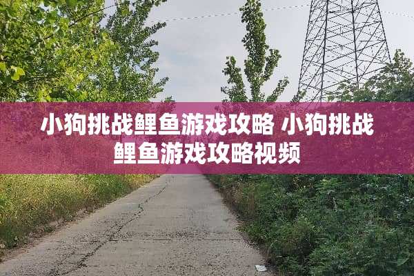 小狗挑战鲤鱼游戏攻略 小狗挑战鲤鱼游戏攻略视频
