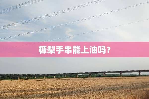糠梨手串能上油吗？