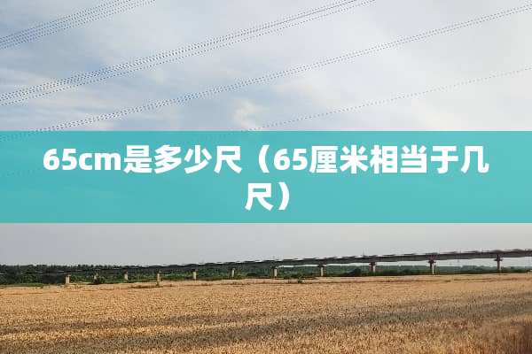 65cm是多少尺（65厘米相当于几尺）