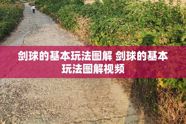 剑球的基本玩法图解 剑球的基本玩法图解视频 剑球的基本玩法图解 剑球的基本玩法图解视频