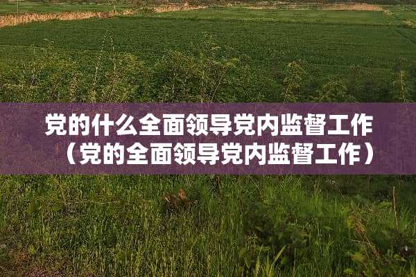 *的什么全面领导*内监督工作（*的全面领导*内监督工作）