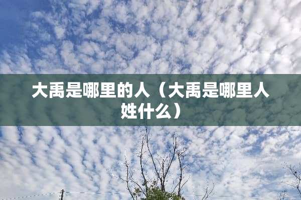 大禹是哪里的人（大禹是哪里人姓什么）