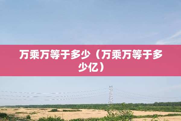 万乘万等于多少（万乘万等于多少亿）