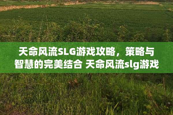 天命**SLG游戏攻略,策略与智慧的完美结合 天命**slg游戏攻略 天命**SLG游戏攻略,策略与智慧的完美结合 天命**slg游戏攻略