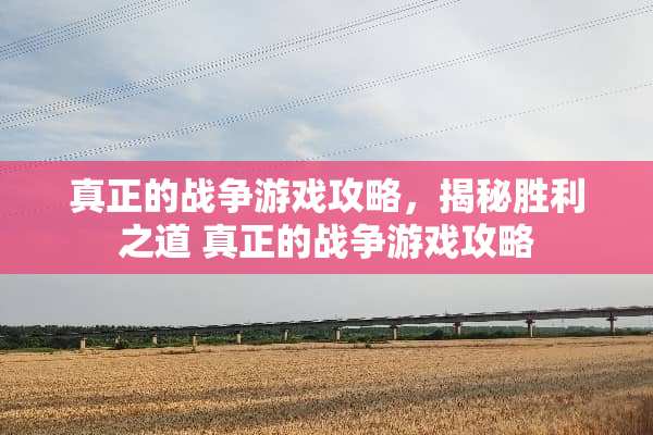真正的战争游戏攻略，揭秘胜利之道 真正的战争游戏攻略
