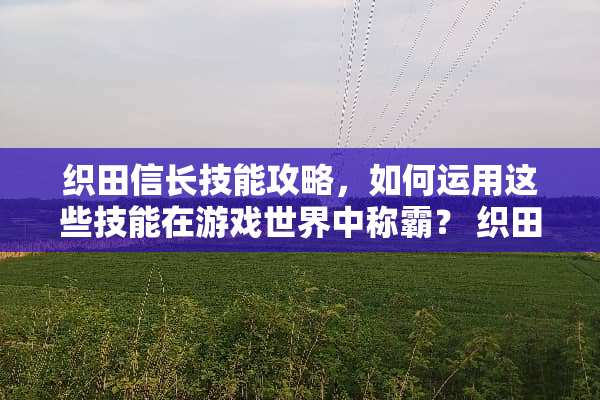 织田信长技能攻略，如何运用这些技能在游戏世界中称霸？ 织田信长技能