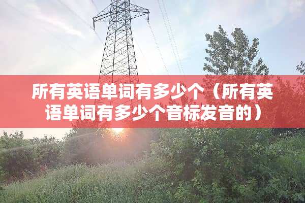 所有英语单词有多少个（所有英语单词有多少个音标发音的）