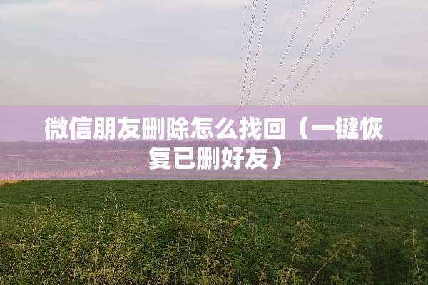 微信朋友删除怎么找回（一键恢复已删好友）