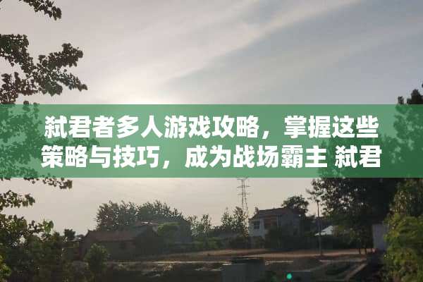 弑君者多人游戏攻略，掌握这些策略与技巧，成为战场霸主 弑君者多人游戏攻略