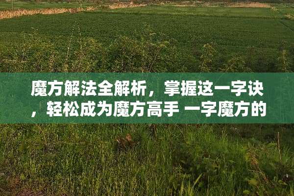 魔方解法全解析，掌握这一字诀，轻松成为魔方高手 一字魔方的玩法图示