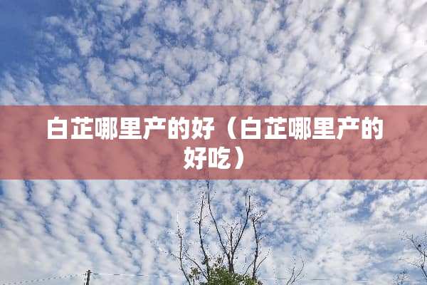 白芷哪里产的好(白芷哪里产的好吃) 白芷哪里产的好(白芷哪里产的好吃)