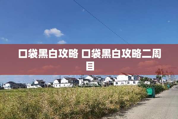 口袋黑白攻略 口袋黑白攻略二周目