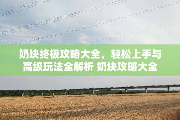 奶块终极攻略大全，轻松上手与高级玩法全解析 奶块攻略大全