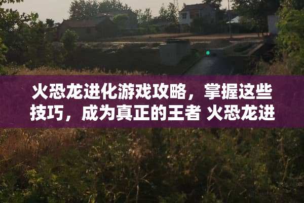 火恐龙进化游戏攻略，掌握这些技巧，成为真正的王者 火恐龙进化游戏攻略