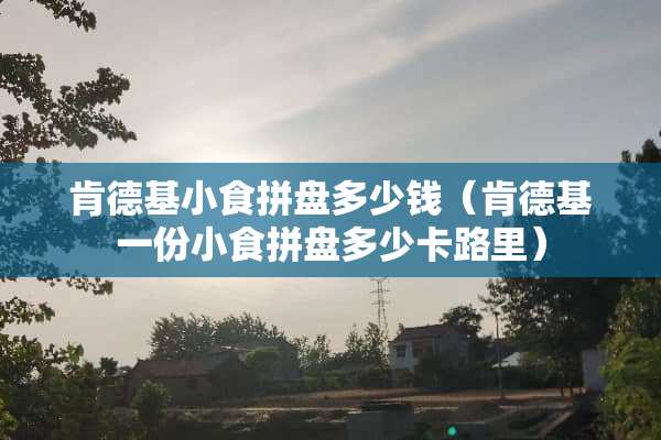 肯德基小食拼盘多少钱(肯德基一份小食拼盘多少卡路里) 肯德基小食拼盘多少钱(肯德基一份小食拼盘多少卡路里)