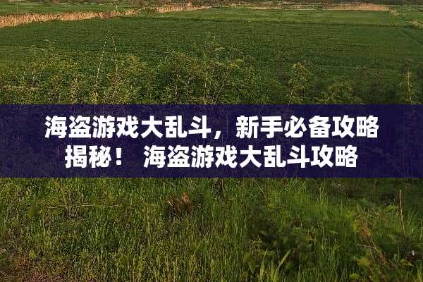 海盗游戏大乱斗,新手必备攻略揭秘! 海盗游戏大乱斗攻略 海盗游戏大乱斗,新手必备攻略揭秘! 海盗游戏大乱斗攻略