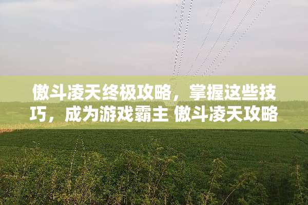 傲斗凌天终极攻略，掌握这些技巧，成为游戏霸主 傲斗凌天攻略