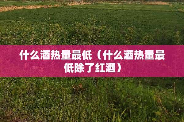 什么酒热量最低（什么酒热量最低除了红酒）