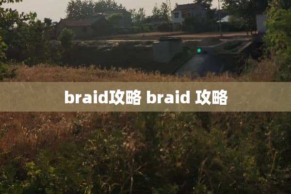 braid攻略 braid 攻略