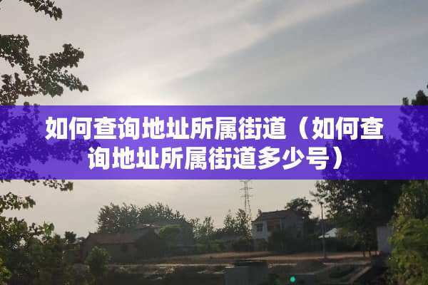 如何查询地址所属街道（如何查询地址所属街道多少号）