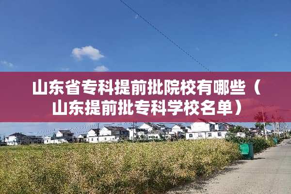山东省专科提前批院校有哪些（山东提前批专科学校名单）