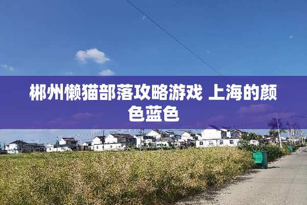 郴州懒猫部落攻略游戏 上海的颜色蓝色 郴州懒猫部落攻略游戏 上海的颜色蓝色