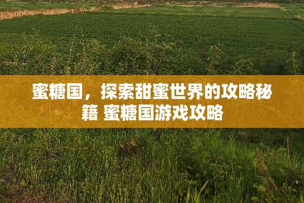 蜜糖国，探索甜蜜世界的攻略秘籍 蜜糖国游戏攻略