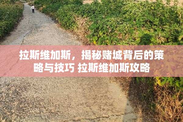 拉斯维加斯，揭秘赌城背后的策略与技巧 拉斯维加斯攻略