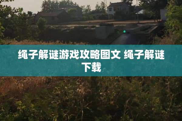绳子解谜游戏攻略图文 绳子解谜下载