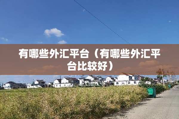 有哪些外汇平台（有哪些外汇平台比较好）