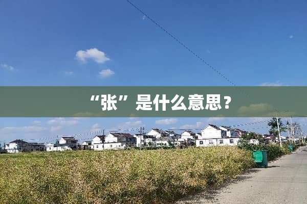 “张”是什么意思？