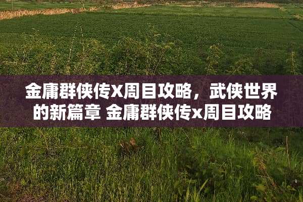 金庸群侠传X周目攻略，武侠世界的新篇章 金庸群侠传x周目攻略